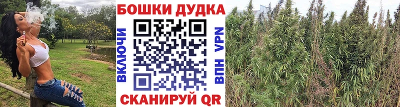 Наркошоп купить Псилоцибиновые грибы  МАРИХУАНА  COCAIN  Меф  ГАШ  Кизилюрт