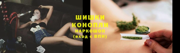 амф Гусиноозёрск