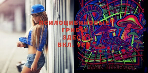 амф Гусиноозёрск