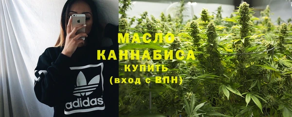 амф Гусиноозёрск