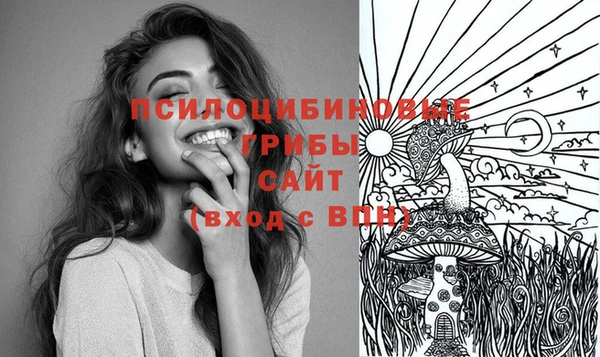 прущие крисы Гусь-Хрустальный