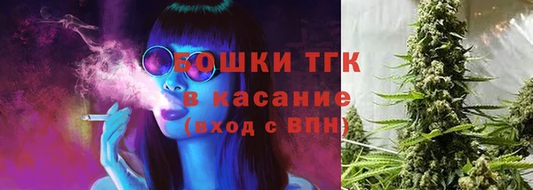 амф Гусиноозёрск
